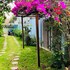 the stay villa pleiku