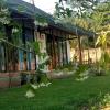 bebe homestay phu quoc