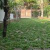 bebe homestay phu quoc