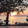 bebe homestay phu quoc