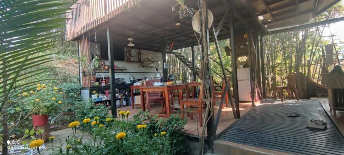 bebe homestay phu quoc