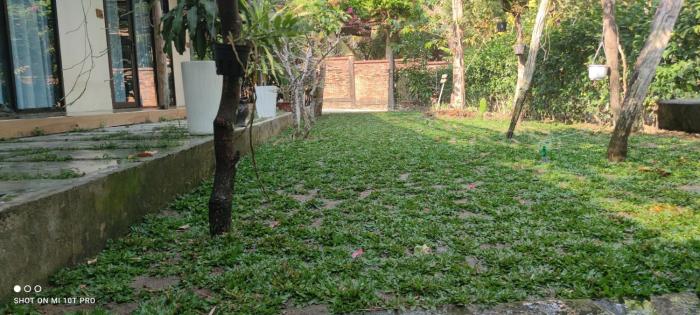 bebe homestay phu quoc