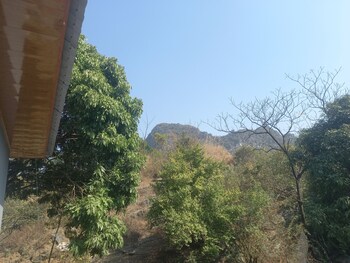 trang an pristine view homestay