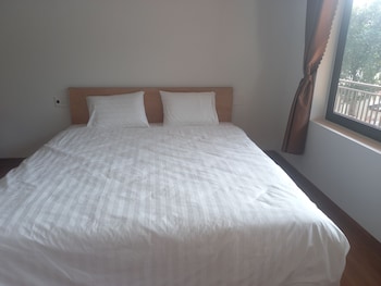 trang an pristine view homestay