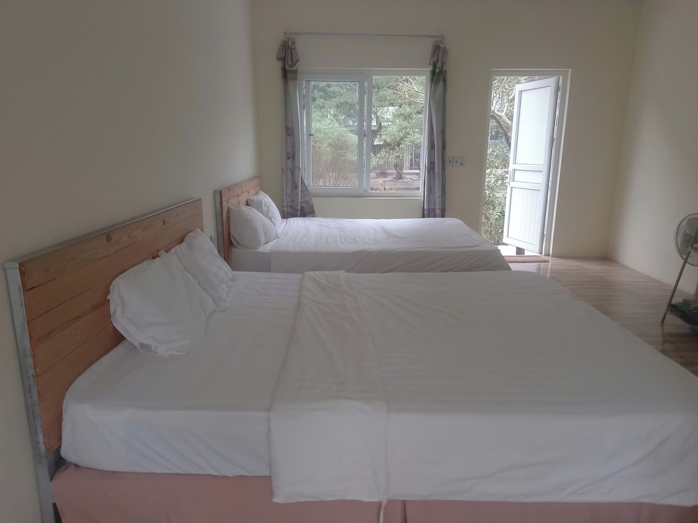 trang an pristine view homestay