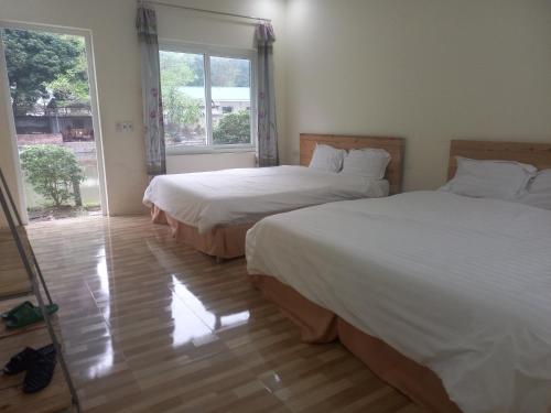 trang an pristine view homestay