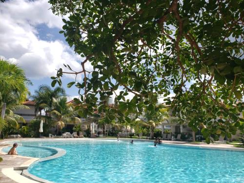 residencial paraiso pool