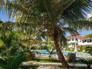 residencial paraiso pool
