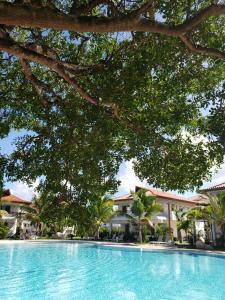 residencial paraiso pool