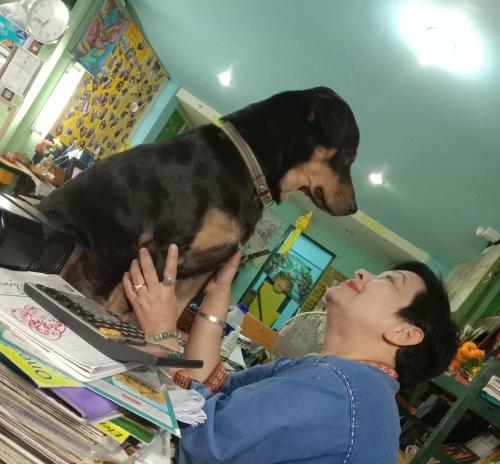 jay guesthouse and restaurant adult only