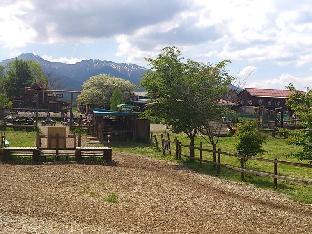 izumigo yatsugatake dog paradise cottage