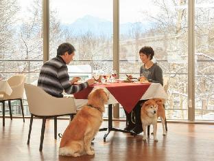 izumigo yatsugatake dog paradise cottage
