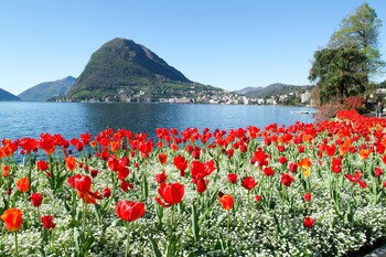 little lugano
