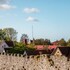 visby