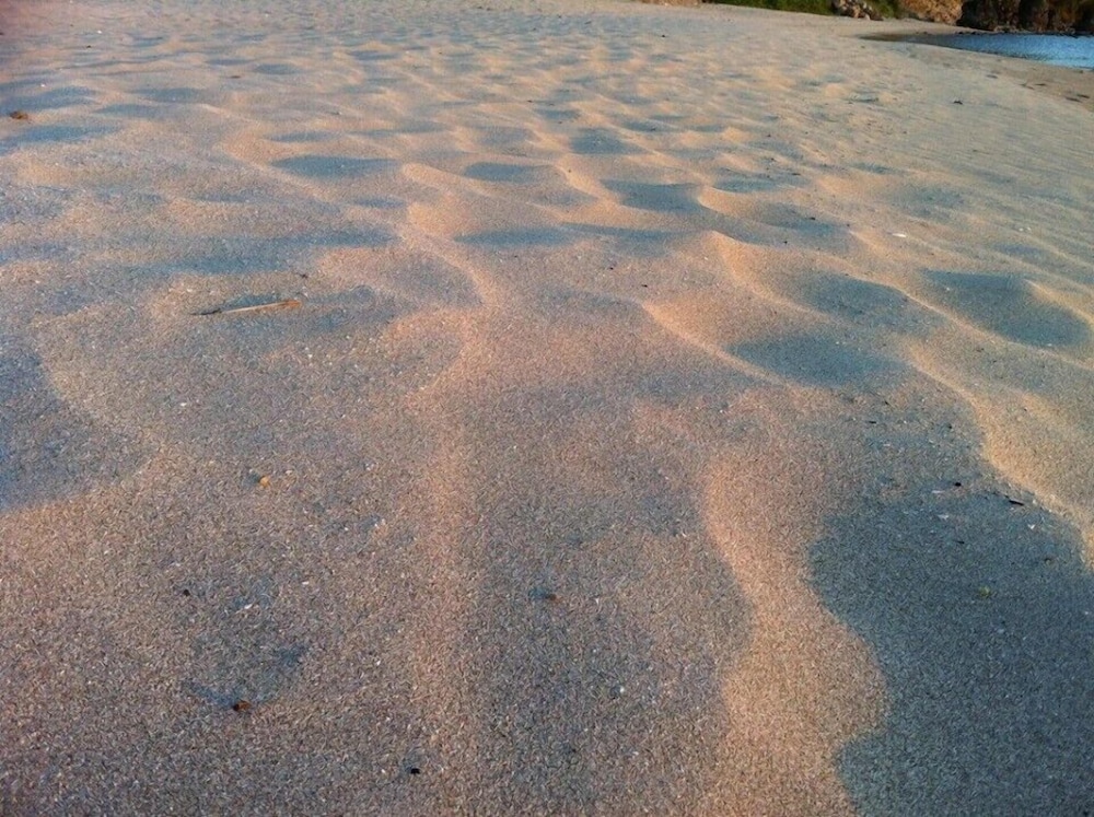 beach condos pico de loro hamilo coast