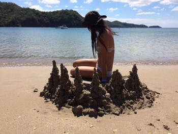 beach condos pico de loro hamilo coast