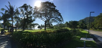 beach condos pico de loro hamilo coast