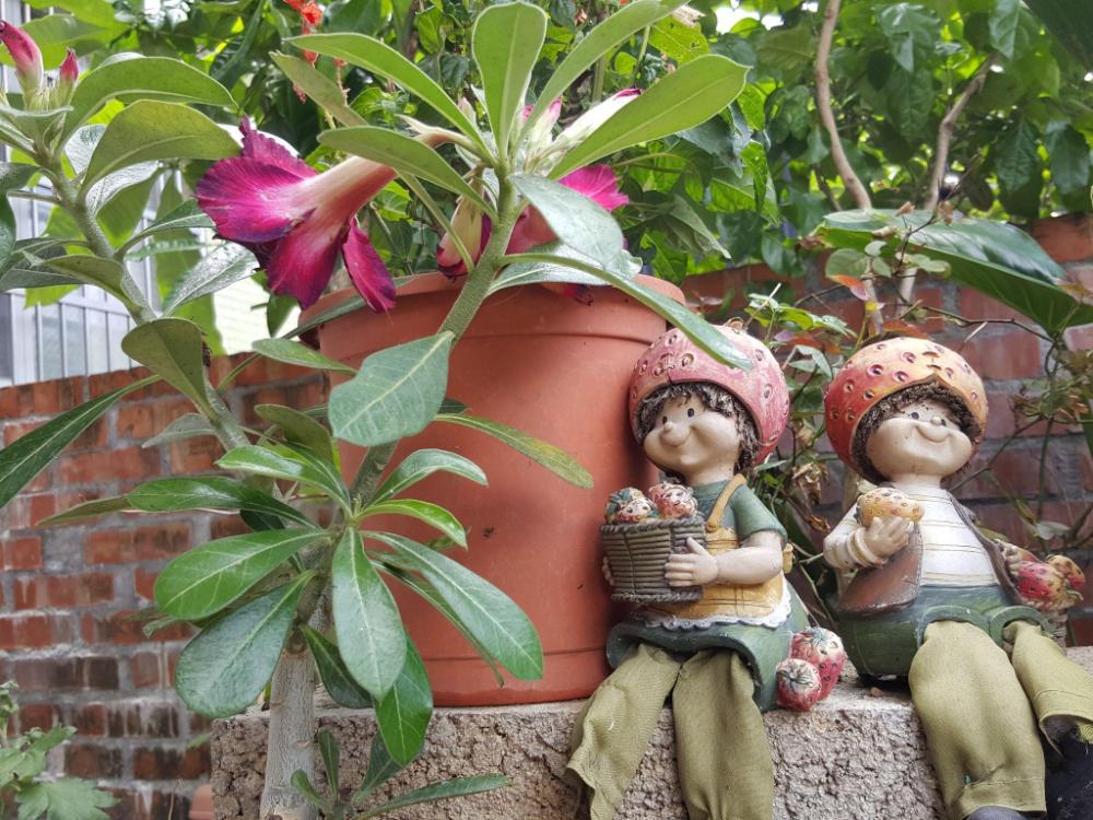 qinbianlu bed and breakfast