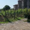 chateau tetri bairagebi white flags