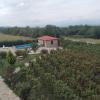 chateau tetri bairagebi white flags