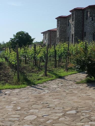 chateau tetri bairagebi white flags