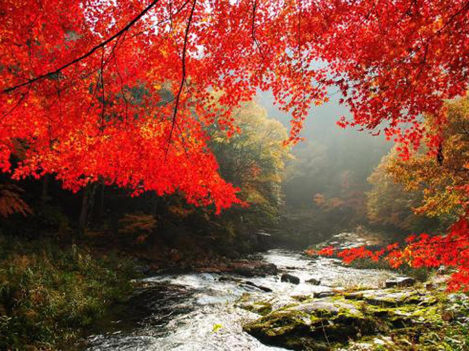 Yunogo Onsen Chikutei,,3 star