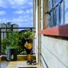 city view apartment south b