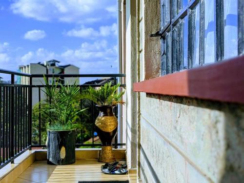 city view apartment south b