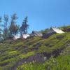 ooty