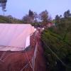 ooty