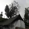 ooty