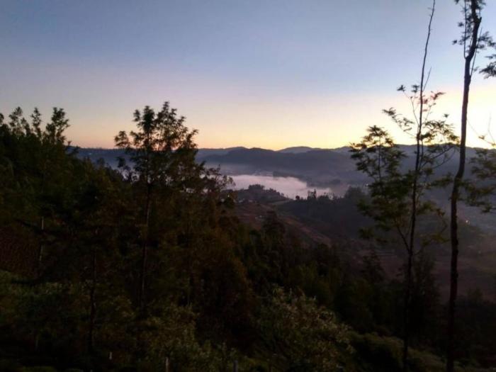 ooty