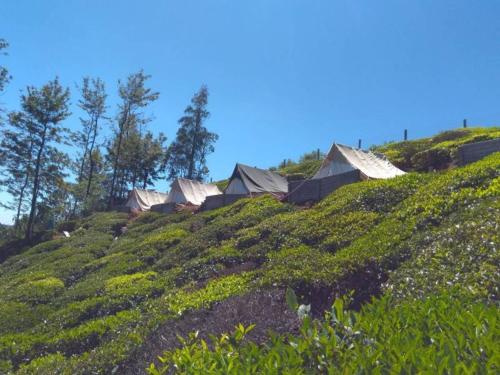 ooty