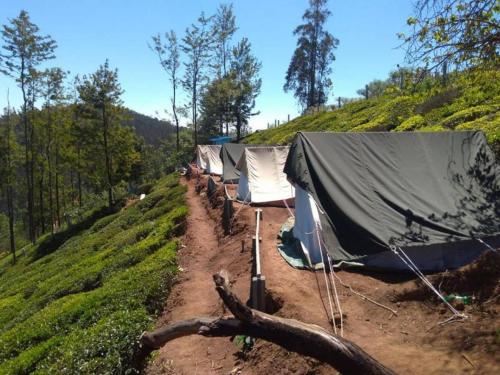 ooty