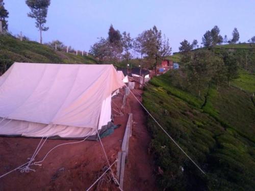 ooty