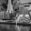 zumoxn