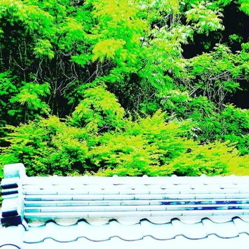 guesthouse sofusha