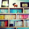 guesthouse sofusha