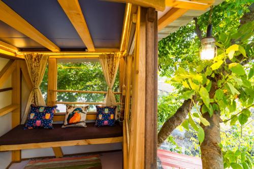 zostel plus mussoorie adults only