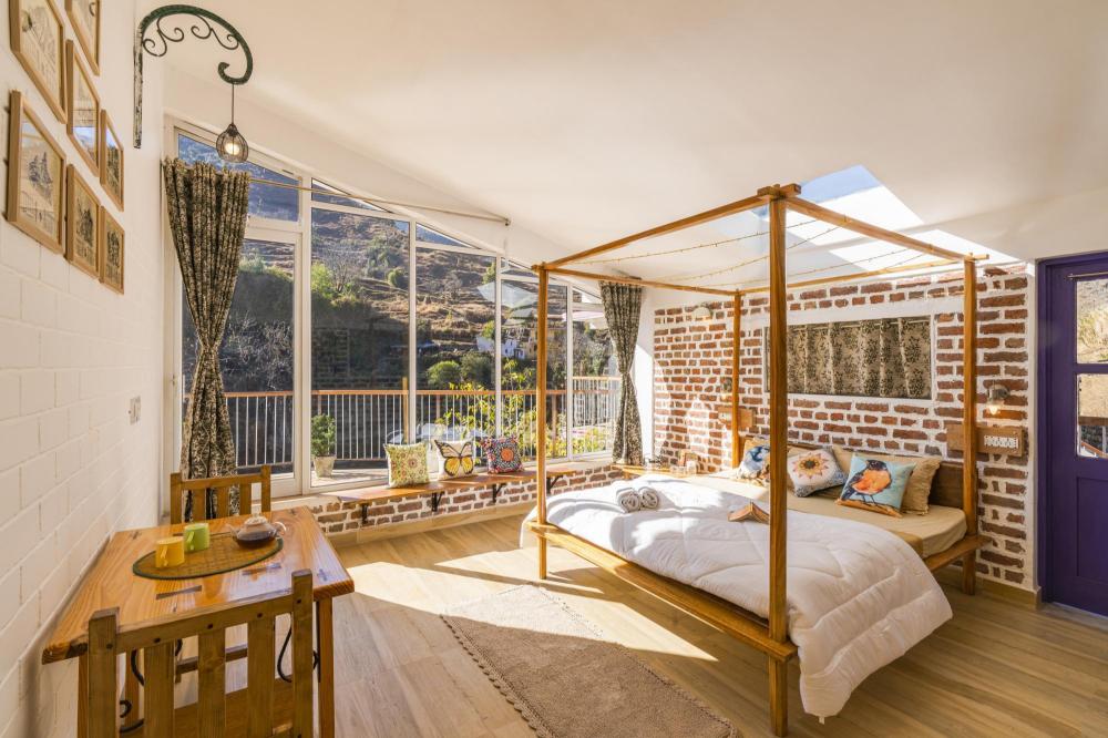 zostel plus mussoorie adults only