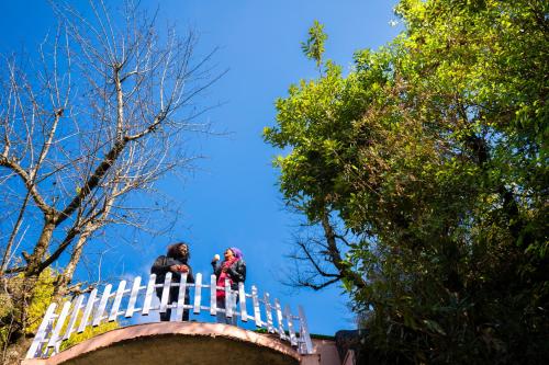 zostel plus mussoorie adults only