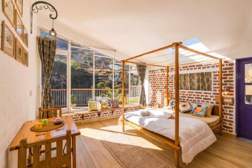 zostel plus mussoorie adults only