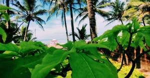 malvan