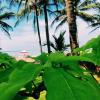 malvan