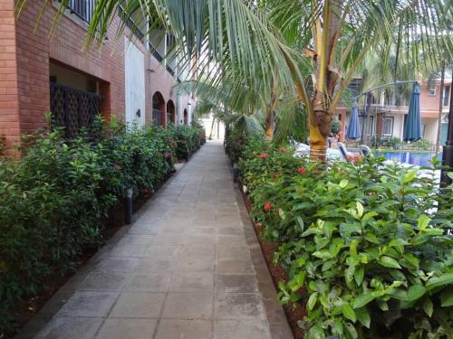 goa