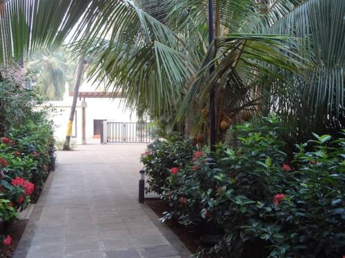 goa