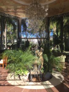 hotel villa florencia