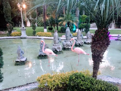 hotel villa florencia