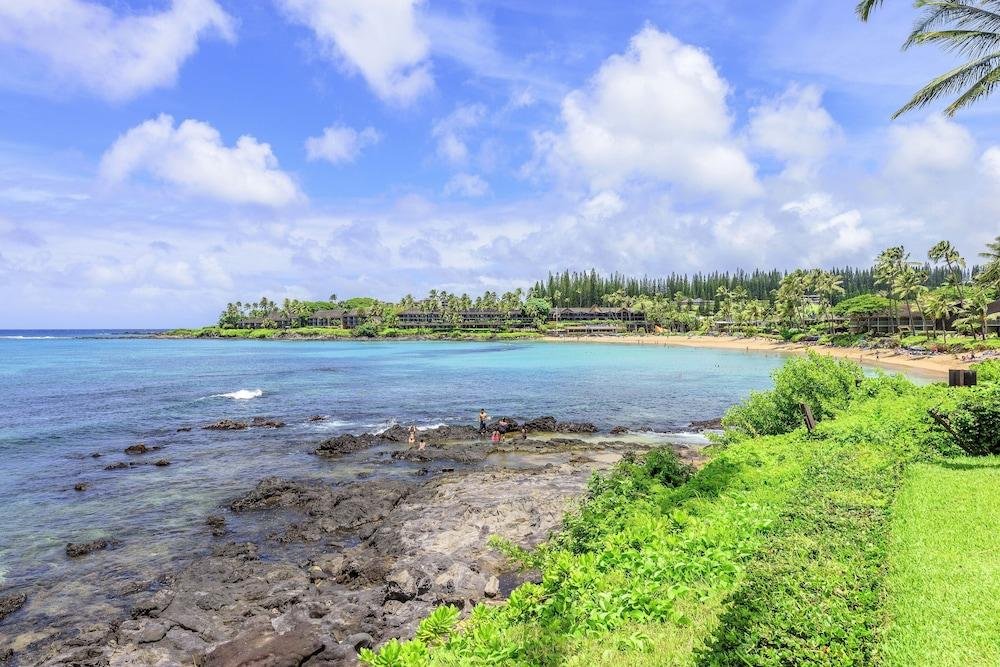 Napili Shores D229 Studio Bedroom Condo By Redawning,,3.5 star