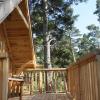 cabane lodge domaine du lac chambon
